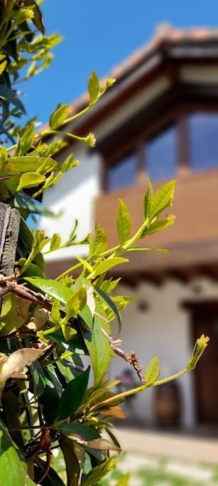 La Casa 44, Con Spa Opcional Sariego エクステリア 写真
