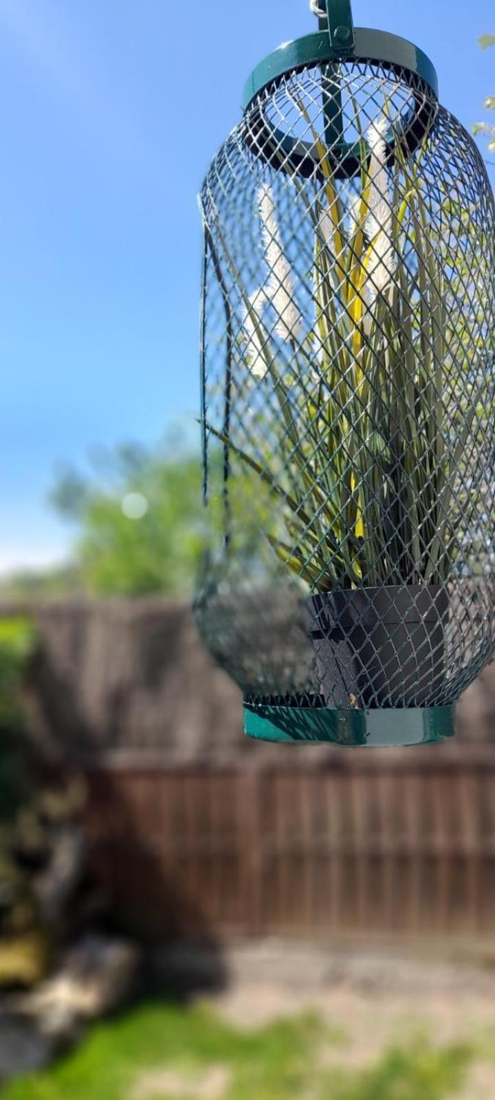 La Casa 44, Con Spa Opcional Sariego エクステリア 写真